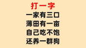 田上有一人打一字,探寻汉字奥秘之旅”