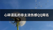 qq网名伤感,情感抒发与内心世界的独白”