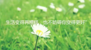 2022最走心短句,触动心灵的温暖语句