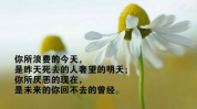 激励人生的正能量句子,正能量句子助力人生成长